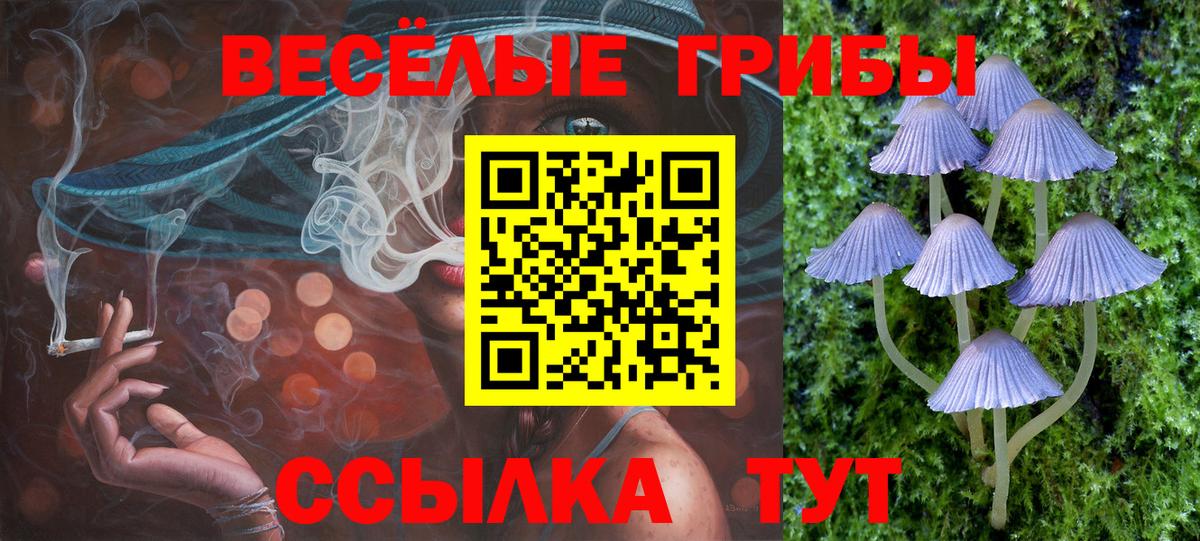 Псилоцибиновые грибы GOLDEN TEACHER Мценск
